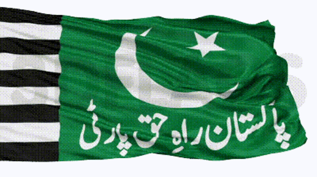Pakistan Rah E Haq GIF - Pakistan Rah E Haq Party GIFs