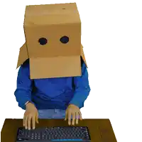 a person with a cardboard box on their head typing on a computer keyboard
