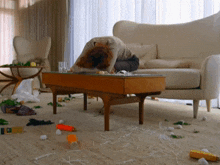 a messy living room with a couch and a table