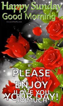 a picture of red roses with the words happy sunday good morning please enjoy i love you so much