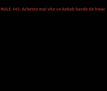 a black and white photo of a cartoon character with the caption rule 345 achetez moi vite un kebab bande de hma