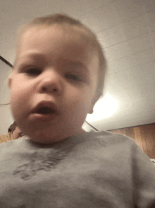 a little boy wearing a gray shirt with the word tiger on it