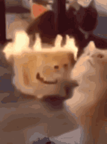 GIF