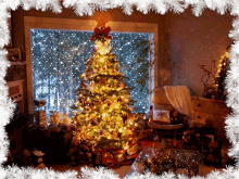 Christmas Tree Snow GIF - Christmas Tree Snow Tree GIFs
