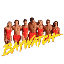 bagnino baywatch