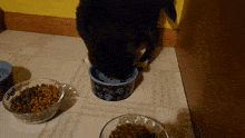 Cat Kitty GIF - Cat Kitty Drink GIFs