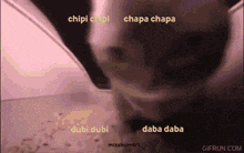 Chipi Chipi Chapa Chapa Cat GIF - Chipi Chipi Chapa Chapa Cat GIFs