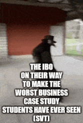 svt ib ibo ib business business management