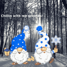Gnome Memes Cute Gnomes GIF - Gnome Memes Cute Gnomes GIFs