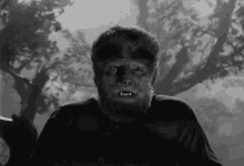 Attack Larry Talbot GIF - Attack Larry Talbot The Wolf Man GIFs