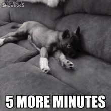 Five More Minutes Tired GIF