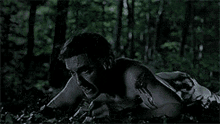 a shirtless man is crawling in the woods at night .