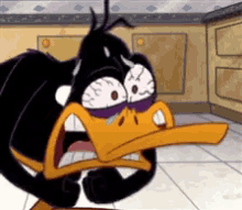 daffy duck looney tunes crazy pain daffy