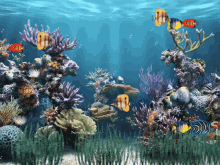 Underwater Adrians Worm GIF - Underwater Adrians Worm GIFs