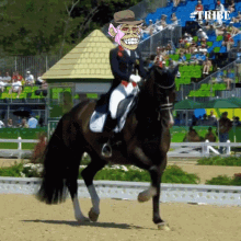Tribe Horse GIF - Tribe Horse Olympic GIFs