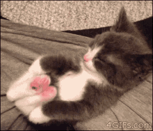GIF