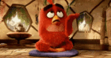 You Mad Why GIF - You Mad Why Bird GIFs