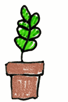 orlandosoyyo plant doodle planta wind