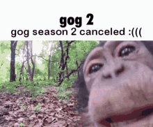 Gog Gog Ape GIF - Gog Gog Ape Gog Series GIFs