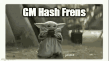 Hashflow Hashgang GIF - Hashflow Hashgang Gm GIFs