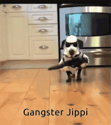 tobias dog gangster jippi funny