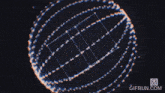 a gif from gifrun.com is displayed