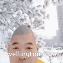 Wellington Silva GIF - Wellington Silva Xie GIFs