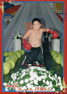 a picture of a boy wearing boxing gloves with the year 2013