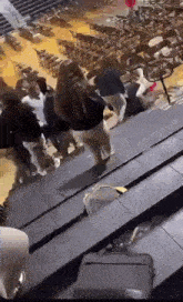 a group of people are standing on top of a staircase in a stadium .