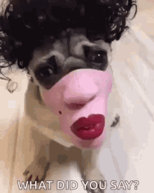 dog face dog mask disguise