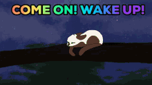 Wake Up Harestar GIF - Wake Up Harestar Leader Chance GIFs