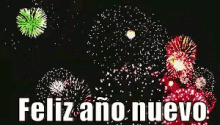 Fuegos Artificiales Feliz Año Nuevo GIF - Feliz Ano Nuevo Fuegos Artificiales Fireworks GIFs
