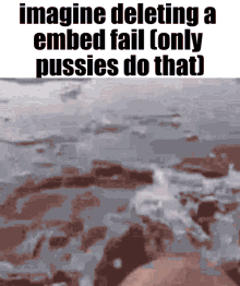 Pussy Embed Fail GIF - Pussy Embed Fail GIFs
