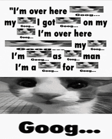 a cat 's face is next to a text that says " i 'm over here my "