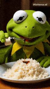 a kermit the frog is pouring sauce over a plate of rice
