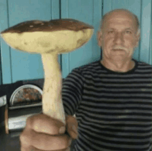 Mushroom Grandfather GIF