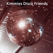 Kimmies Disco Disco Ball GIF - Kimmies Disco Disco Ball Party GIFs