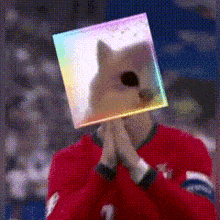 a man with a dog mask on his head is praying with his hands together .