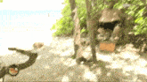 a blurred image of a person on a beach with giorno 17 written on the bottom right