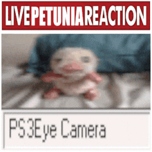 Live Reaction GIF - Live Reaction GIFs
