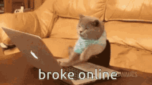Broke Cat GIF - Broke Cat Type GIFs