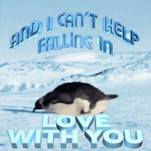 Can'T Help Falling In Love With You Meme Penguin Laying Down Meme GIF - Can'T Help Falling In Love With You Meme Penguin Laying Down Meme Atrabilis GIFs