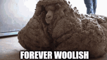Woolish Wooloo GIF - Woolish Wooloo Shepherd GIFs