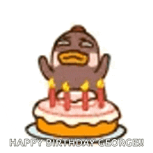 Happy Birthday Chicken GIF - Happy Birthday Chicken Chickenstrip GIFs