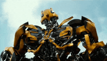 Transformers Bumblebee GIF - Transformers Bumblebee No GIFs