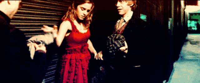 Hermione 2025 magic bag