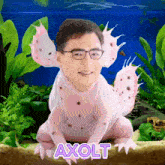 a picture of a man dressed as an axolotl with a fish tank in the background