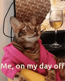 Day Off Caturday GIF - Day Off Caturday Relax GIFs