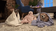 Cold Dogs GIF - Cold Dogs Cute GIFs