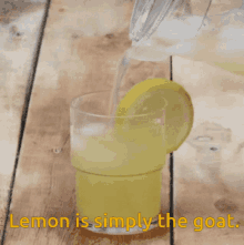 Lemon Is The Goat Lemonade GIF - Lemon Is The Goat Lemonade Alex Is The Goat GIFs